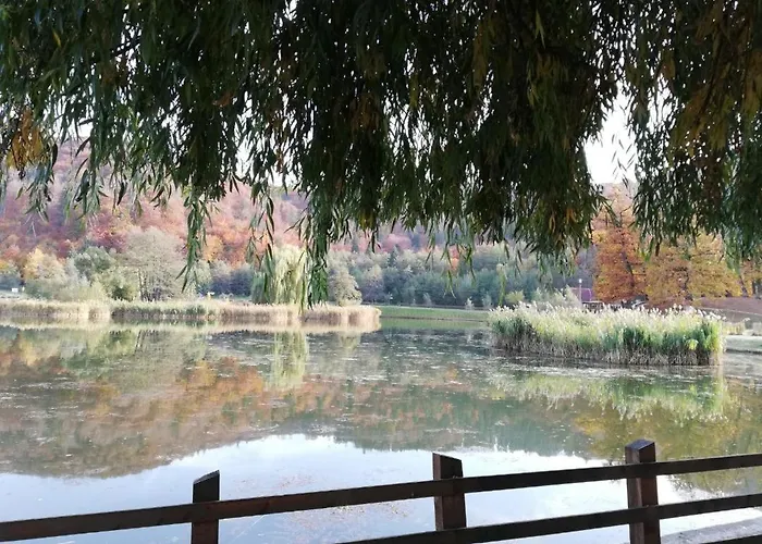 Guest house Casa Lidia 3*