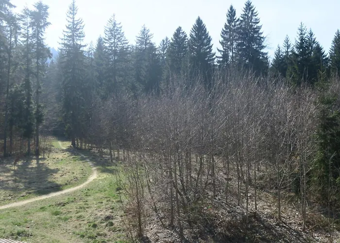 Casa Lidia Guest house